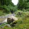 Le Vert d'Arette