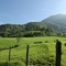 Lourdios Ichère