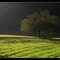 VITRAC [24] - Lumière rasante en soirée vers Marobert. (octobre 2007)