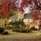CARSAC-AILLAC [24] - Manoir d'Hermier avec un habillage d'automne. (novembre 2007)