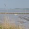 Vue sur l'estuaire de la Gironde