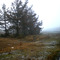 Aquitaine, Via N10-E05, France, 28-12-2008.