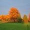 Tilles Park