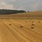 Ballots de foin en Bourgogne vus du TGV