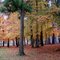 Automne au Creusot