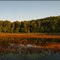 Etang du Breuil