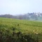 Bourgogne - Paysage avec manoir