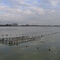Inondation