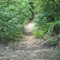 Anadarche Trail