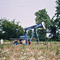 Oil in Oklahoma!