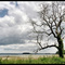 île-aux-Moines, Morbihan, 09 Juillet 2009