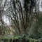 Ruisseau