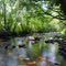 The Stangala - Odet river