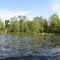Flooded Trees
