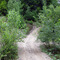 Irondale Road sand hill