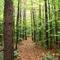 Trail in Salisbury area