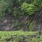 Folding and Faulting in Utica Shale