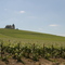 L'église de Chavot dans le vignoble