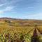 Ay (Champagne district south of Reims)