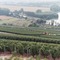 View on the Vineyards
