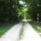 chemin dans la foret de Boursault