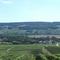 Panorama - autour de Damery