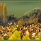 Automne au dessus de Belval-sous-Châtillon