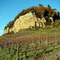 vignes sous chateau chalon