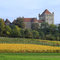 Château du Pin