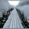 Les rails en longueur sous la neige