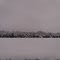 11 inches of fresh snow in Texas - 02/2010