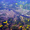 aerial photo -- Mantes-la-Jolie