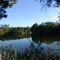 old quarry, coastal Citrus County (11-13-2011)