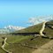 France, vue sur le vignoble de Banyuls la ville et son port