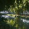 Canal du Midi
