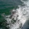 Porpoises near Sanibel Island