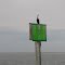 Cormorant in Charlotte Harbor