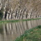 Estampa del canal del Midí