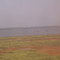 Etang de Báges et de Sigean - 2006