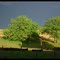Avant l'orage.