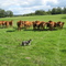 RENCONTRE 1 A SERMANSSANE