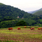 Une colline qui arrondit Les Angles