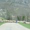 Gregge di pecore sulla strada per Foix