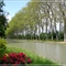 Canal du Midi à Renneville (31)