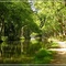 Le Canal du Midi