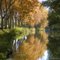 Reflets d'automne sur le Canal du Midi
