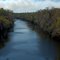 Smoke from a prescribed fire hangs over the Withlacoochee River