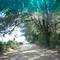 Dirt Road near Pinetta
