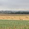 Entre les champs