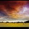 nice cloud